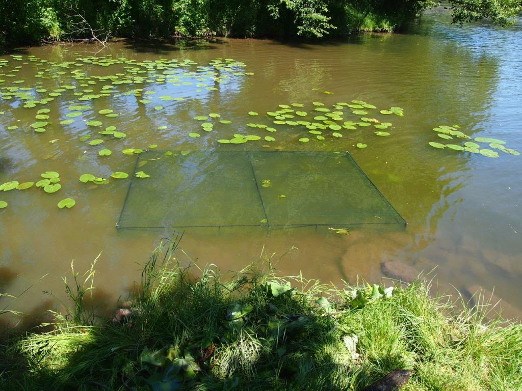 Ochranná klec proti okusu kachnami